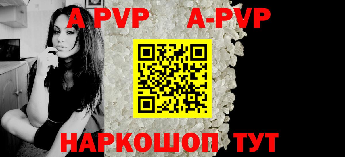 A-PVP СК КРИС Сыктывкар