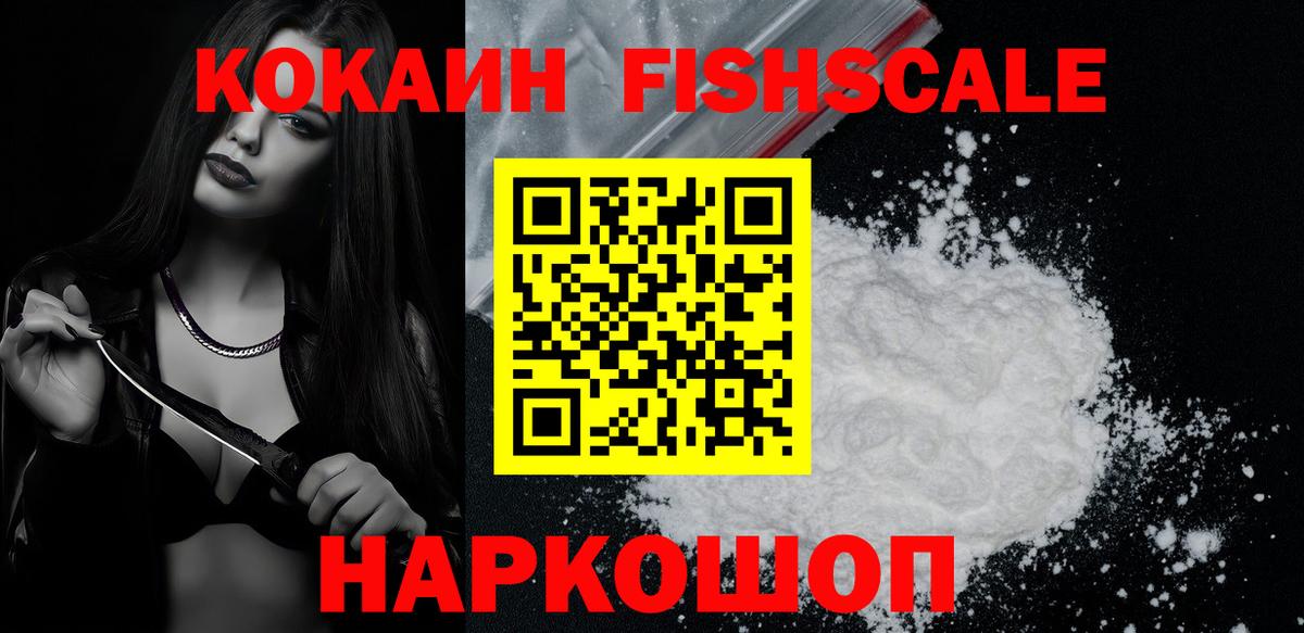 Cocaine Fish Scale  как найти закладки  Сыктывкар  Cocaine 98% 