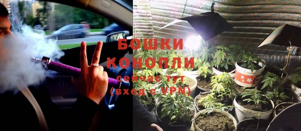 трава Покачи