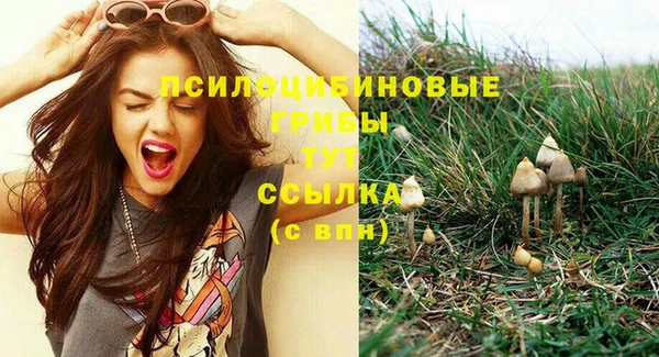 дживик Покров