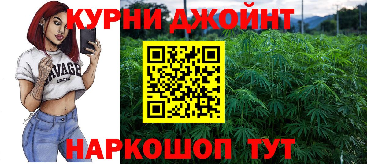 Марихуана сатива Сыктывкар